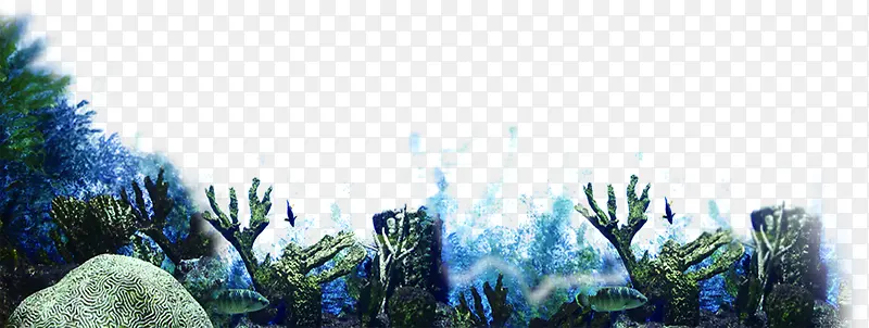 高清海底效果摄影珊瑚图