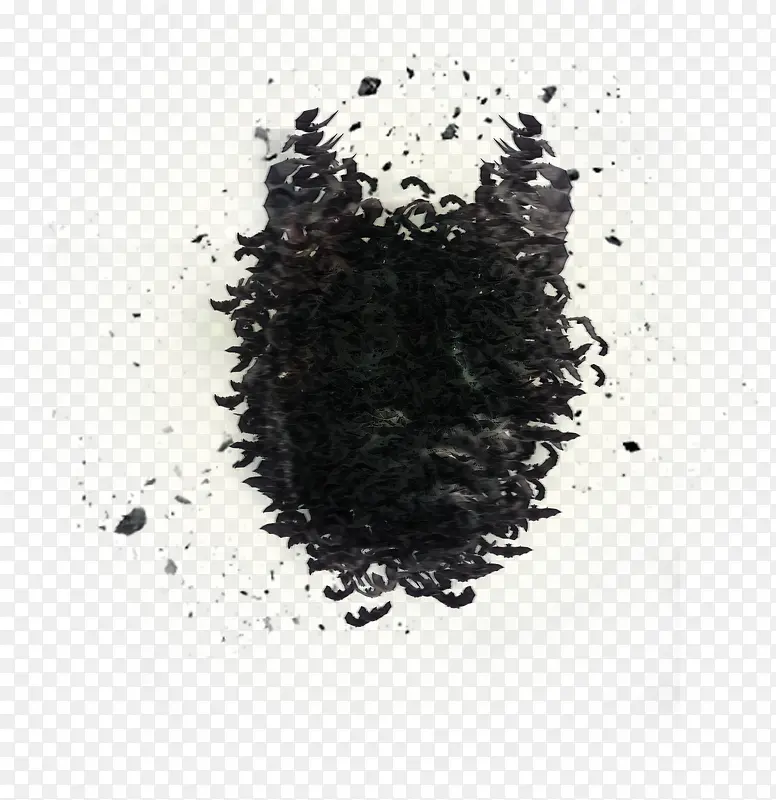 蝙蝠