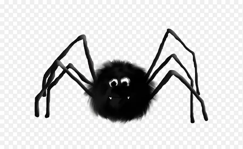 黑色蜘蛛