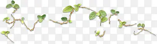 卡通效果绿藤植物设计
