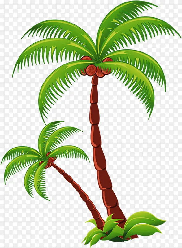 卡通海报效果手绘植物椰子