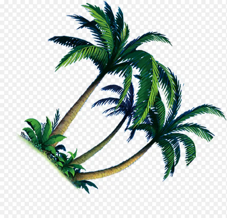 卡通效果植物树木椰子树
