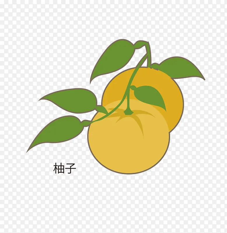 矢量卡通简洁扁平化柚子