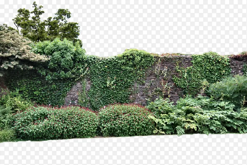 灰色砖墙绿色草