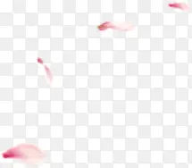 浪漫粉红花瓣图片
