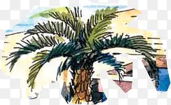 手绘卡通椰树植物