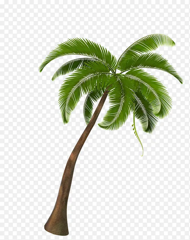 矢量绿色海滩椰树