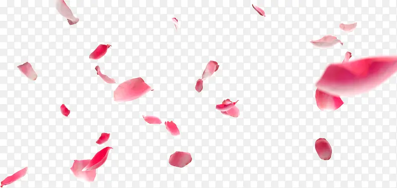 飘飞粉红花瓣
