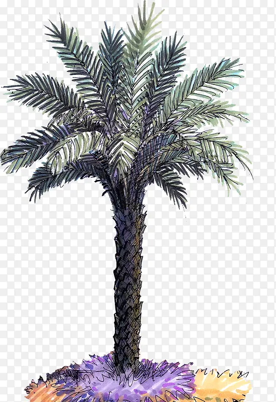 手绘椰树园林植物