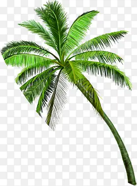 绿色椰树旅游装饰