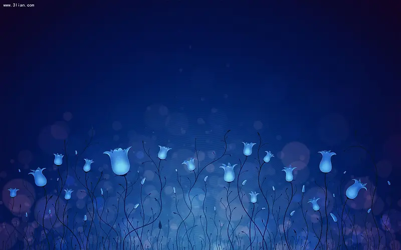 安静纯蓝花朵夜空