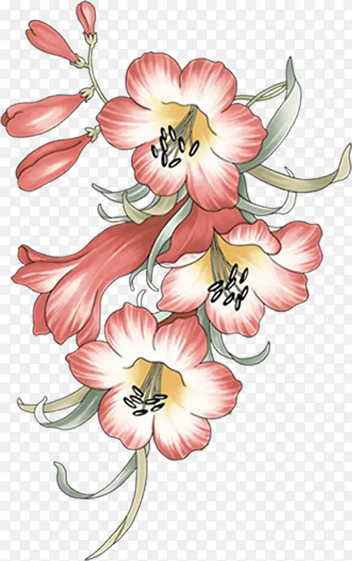 手绘牵牛花圣诞卡片