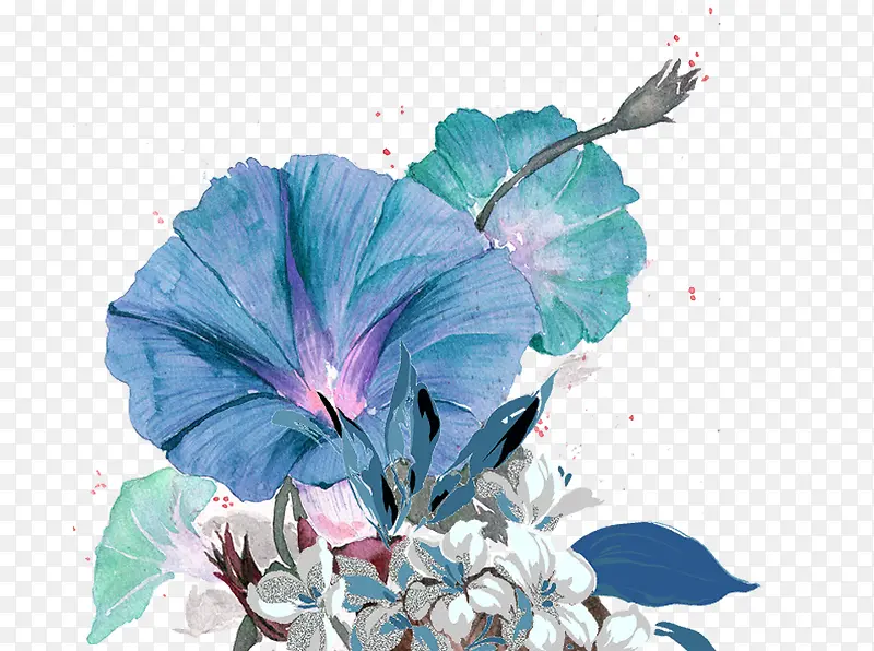 牵牛花