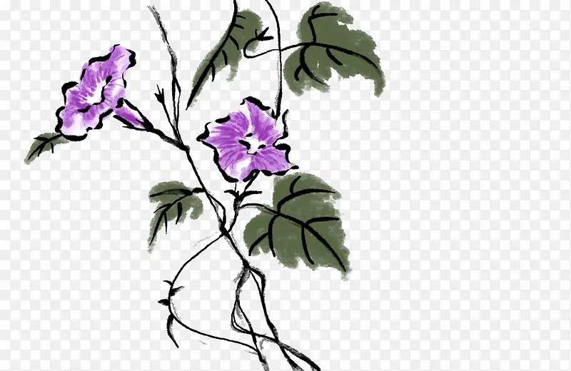水墨牵牛花
