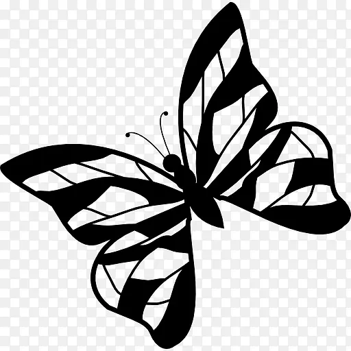 蝴蝶的设计与条纹图标
