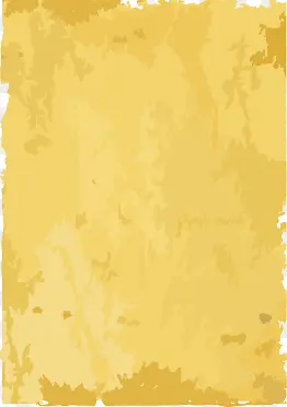 纸