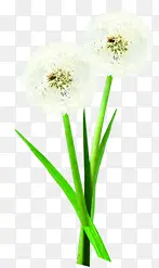 白色草地卡通植物