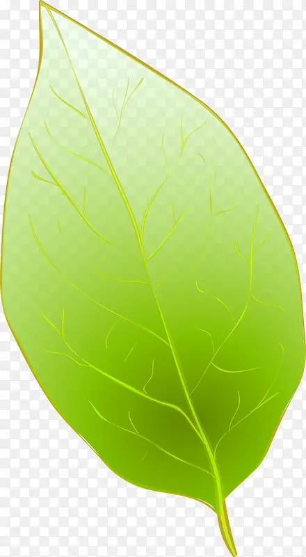 绿色叶子分层图片