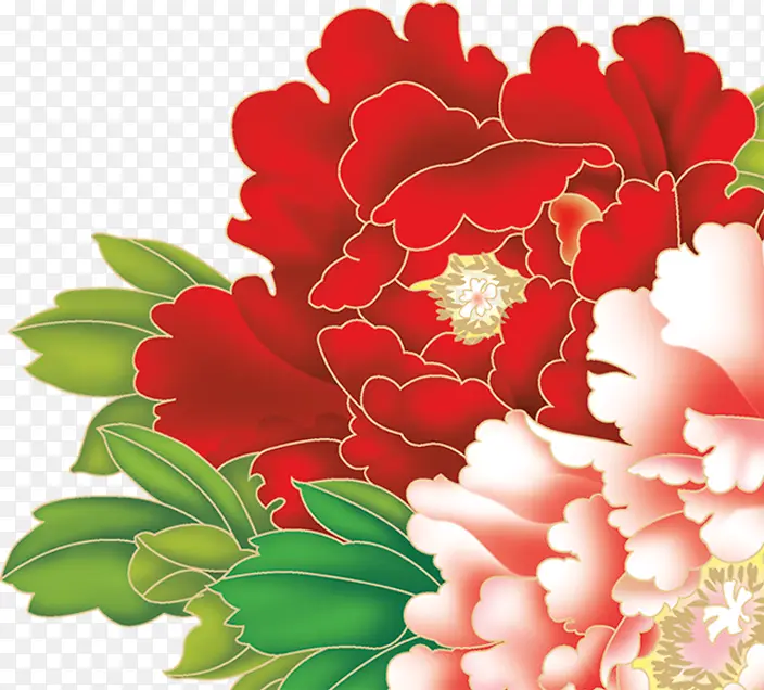 精美中式花朵植物手绘