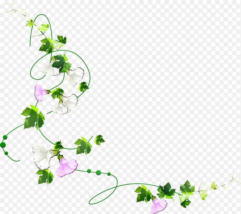 白紫花朵装饰素材