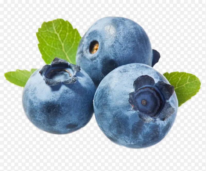 刚采摘的蓝莓