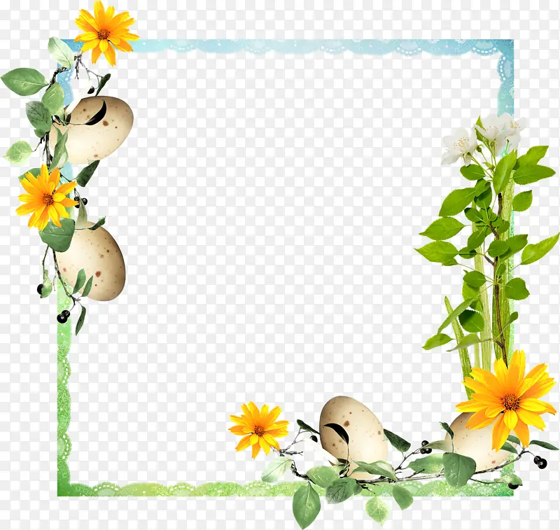 植物花朵边框