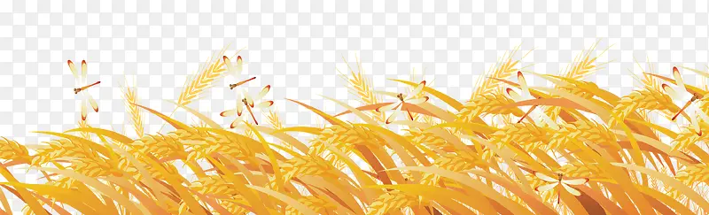 小麦黄色草叶素材