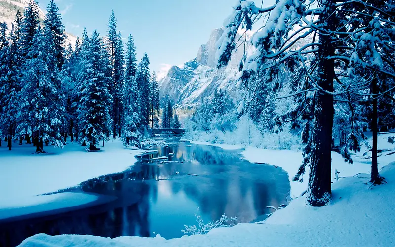 雪景树林高清壁纸