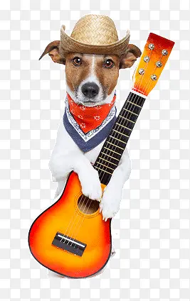 抱着吉他的狗狗