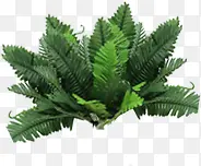 热带唯美植物婚礼