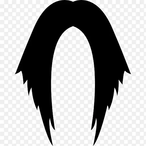 长长的黑发在点图标