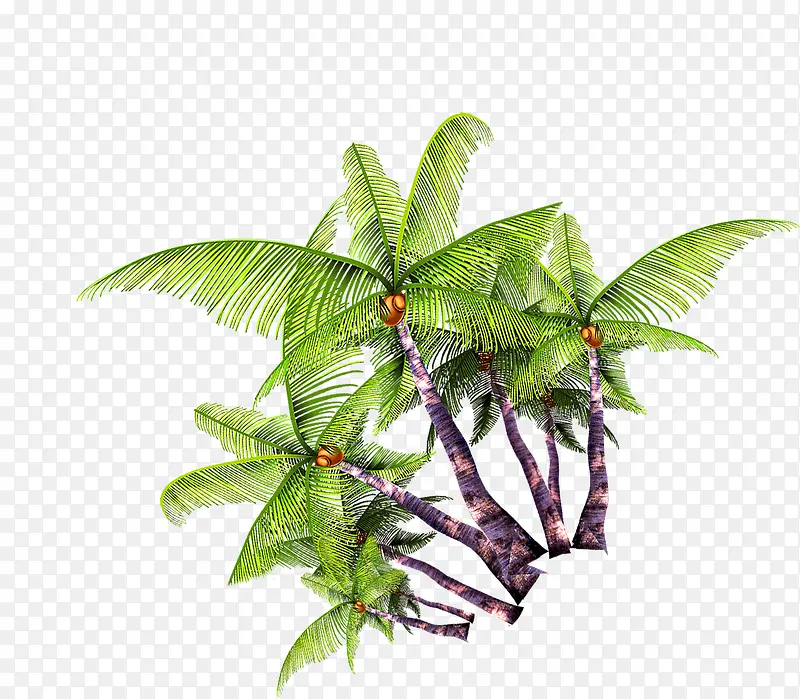 椰子树