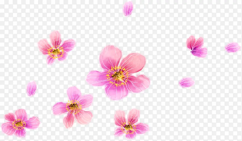 写意手绘粉色花卉