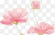 手绘粉色花卉元旦贺卡