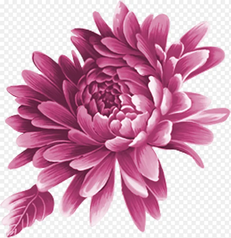 手绘粉色花卉创意图片