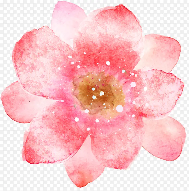 手绘粉色花卉意境展板