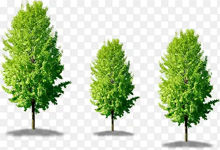 园林春天景观植物PNG图片素材下载_图片编号ylbxaela-免抠素材网