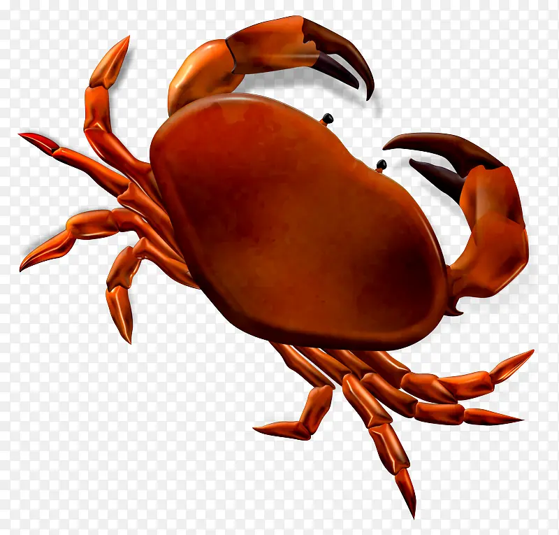 一只螃蟹