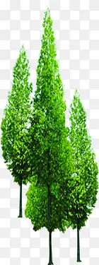 春季树木园林景观植物PNG图片素材下载_图片编号qonaklje-免抠素材网