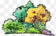园林彩色手绘植物