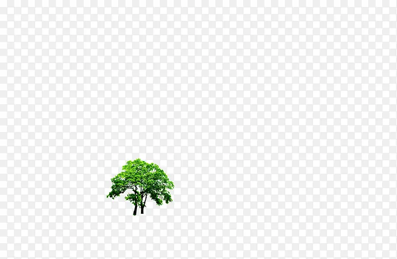 园林设计小树