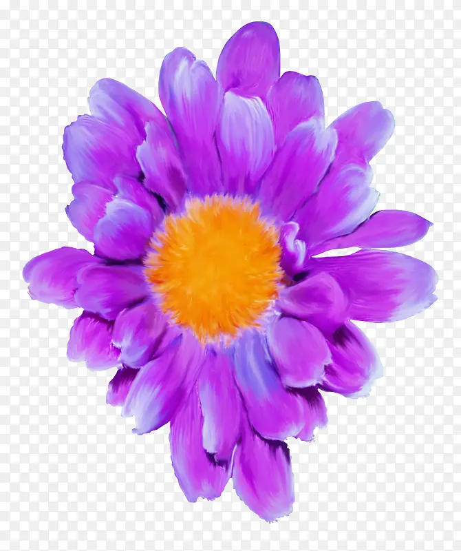 紫花