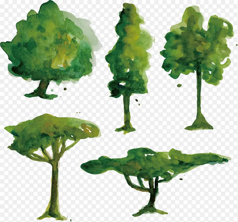 矢量手绘水彩树