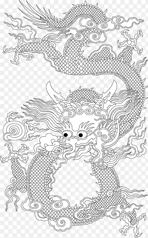 龙