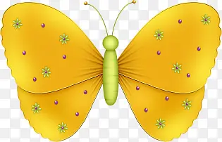 黄色花纹蝴蝶