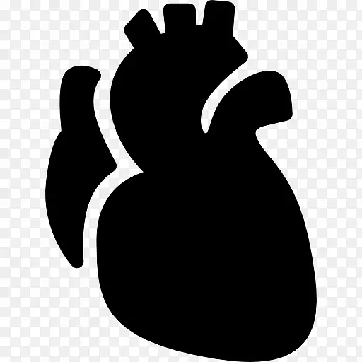 Anatomic Heart 图标