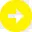 arrow right Icon