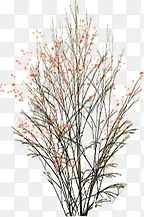 高清创意树枝红色花卉环境渲染