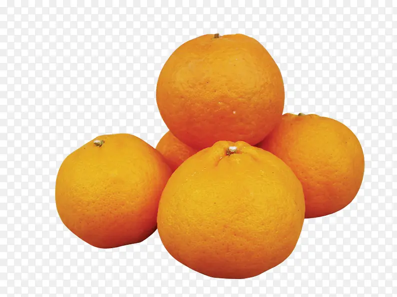可爱的橘子
