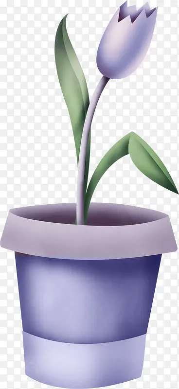 花卉
